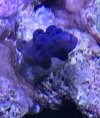 IMG_0008.jpeg