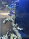 IMG_6697.jpeg