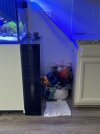 IMG_2549.jpeg