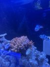 IMG_6728.jpeg
