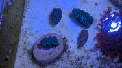 PXL_20250307_075440059.jpg