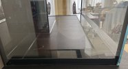 IMG_7166.jpeg