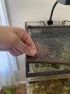 IMG_3545.jpeg
