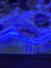 IMG_5271.jpeg