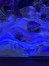 IMG_5269.jpeg