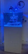 IMG_7572.jpeg