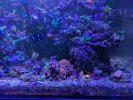 PXL_20250420_011801523.jpg