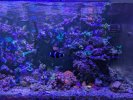 PXL_20250420_011805061.jpg