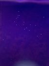 IMG_3679.jpeg