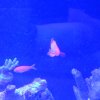 VideoCapture_20250427-224627.jpg