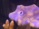 20250428_204131.jpg