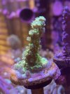 IMG_5390.jpeg