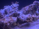 IMG_7262.jpeg