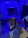 IMG_5232.jpeg