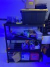 IMG_5343.jpeg