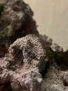 IMG_2714.jpeg