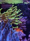 IMG_0579.jpg
