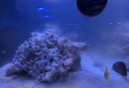 IMG_0032.jpeg