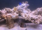 IMG_0033.jpeg