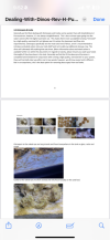 IMG_5490.png