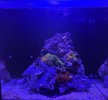 IMG_7894.jpeg