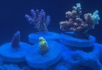 IMG_0079.jpeg
