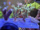 IMG_7126.jpeg