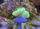 IMG_7124.jpeg