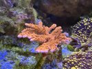 IMG_7123.jpeg