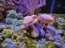 IMG_7122.jpeg