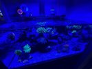 IMG_9190.jpeg