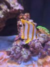 IMG_7767.jpeg
