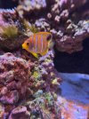 IMG_7770.jpeg