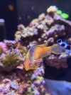 IMG_7771.jpeg