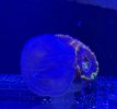 IMG_0285.jpeg