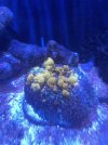 IMG_3133.jpeg