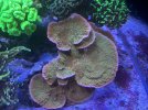 IMG_0712.jpeg