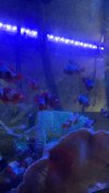 IMG_6985.jpeg