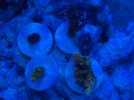 IMG_7214.jpeg