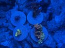 IMG_0655.jpeg