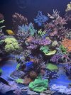 IMG_8158.jpeg
