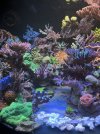 IMG_8153.jpeg