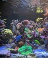 img_5_1747885032015.jpeg