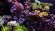 IMG_7399.jpeg