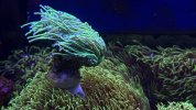 IMG_7396.jpeg