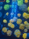 IMG_5071.jpeg