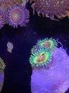 IMG_5628.jpeg