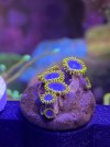 IMG_5635.jpeg