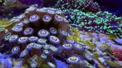 IMG_7455.jpeg