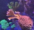 IMG_8355.jpeg